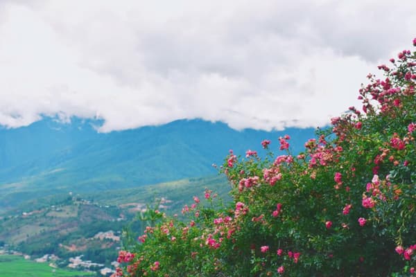Kinh Nghiệm Du Lịch Bhutan Tự Túc