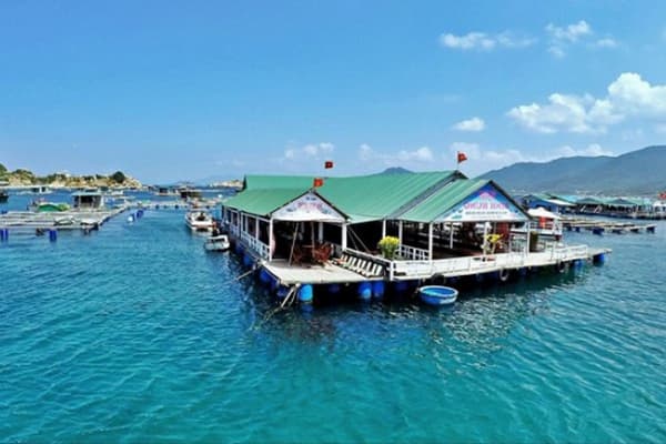 Kinh nghiệm du lịch Vĩnh Hy vịnh biển hoang sơ nhất Việt Nam