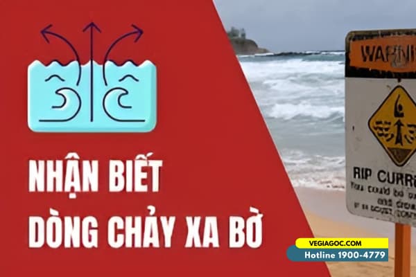 Kinh Nghiệm Nhận Biết Dòng Chảy Xa Bờ Và Cách Thoát Hiểm