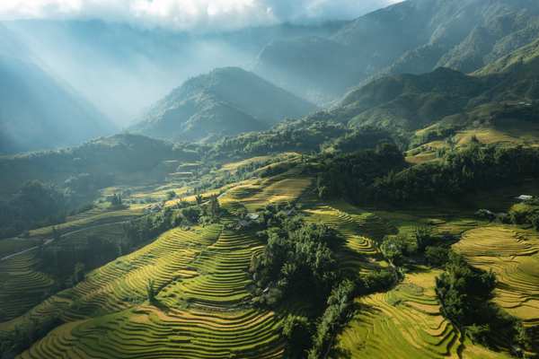 Ngày Gia Đình Bay Hết Mình Cùng Bamboo Airways Hành Trình Nội Địa