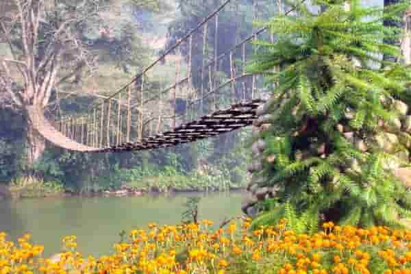 Những cây cầu treo nổi tiếng ở Việt Nam Bạn Đã Ghé Qua Chưa