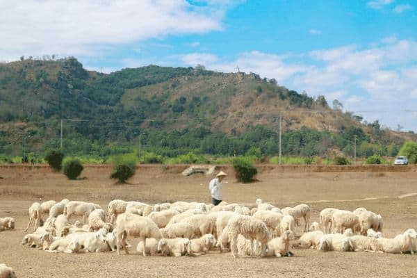 Những điểm du lịch vũng Tàu siêu xịn sò