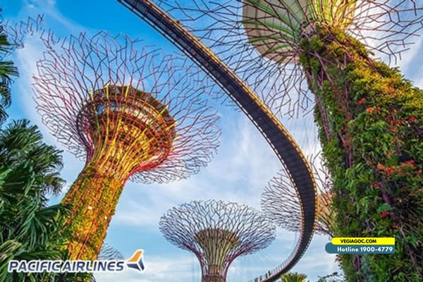 Pacific Airlines tăng tần suất trên đường bay giữa Việt Nam và Singapore
