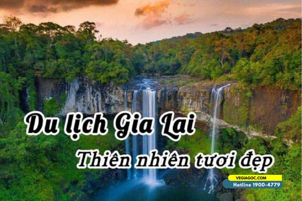 Quẩy Tưng Bừng Tây Nguyên Với 8 Địa Điểm Du Lịch Gia Lai