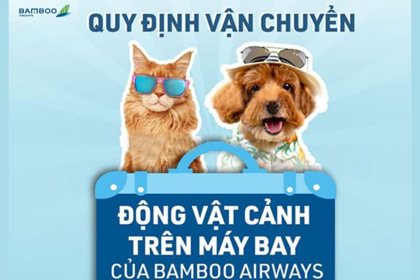 Quy định vận chuyển thú cưng trên các chuyến bay của Bamboo Airways