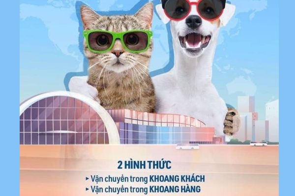 Quy định vận chuyển thú cưng trên các chuyến bay của Bamboo Airways
