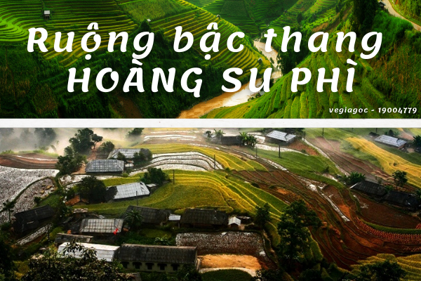 Ruộng bậc thang Hoàng Su Phì bản hòa tấu của núi rừng Hà Giang