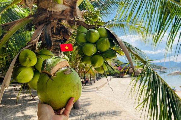Săn Ngay Ưu Đ&atilde;i 10% Cho Chặng H&agrave; Nội &ndash; Cam Ranh C&ugrave;ng Vietravel Airlines