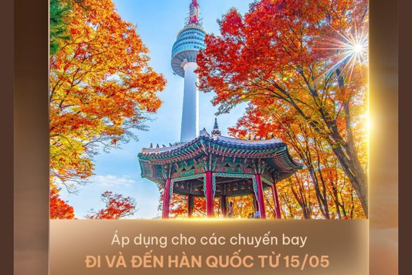 Săn V&eacute; Hạng Thương Gia Sun PhuQuoc Airways Giảm Gi&aacute; Cực Hấp Dẫn