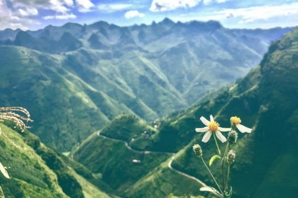 Săn vé máy bay khuyến mãi tháng 1 Vietnam Airlines