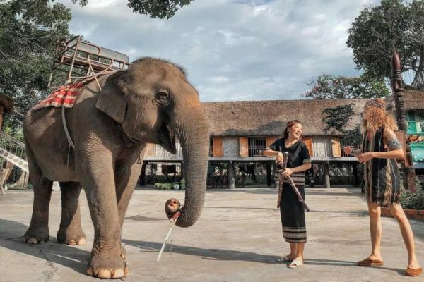 Săn Vé Máy Bay Tết Đi Buôn Mê Thuột Vietjet Đón Tết Bên Gia Đình