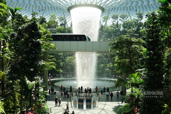 Săn vé Singapore Airlines giá cực sốc tại Ngày hội du lịch 2025