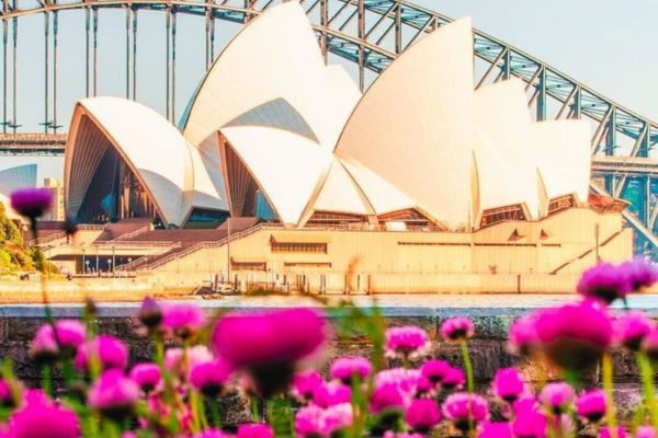 Singapore Airlines khuyến m&atilde;i cực hấp dẫn: Bay Mỹ, Ch&acirc;u &Acirc;u, &Uacute;c trong th&aacute;ng 02/2026