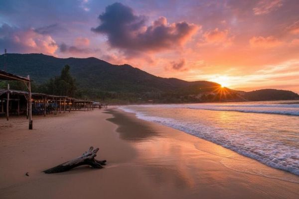 Sun PhuQuoc Airways mở ưu đ&atilde;i ng&agrave;y đ&ocirc;i 08/08, giảm đến 28% gi&aacute; v&eacute;