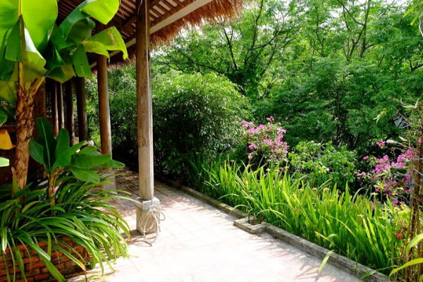 Thái Bình Vẻ Đẹp Hoang Sơ Và Tiềm Ẩn 
