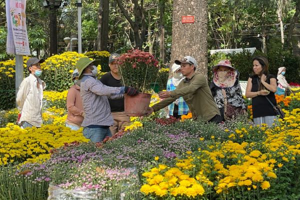 Tết 2025 Vé máy bay đi Buôn Ma Thuột ưu đãi lớn