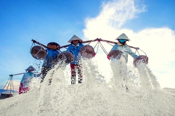 Thời gian bay từ Sài Gòn đến Nha Trang mất bao lâu