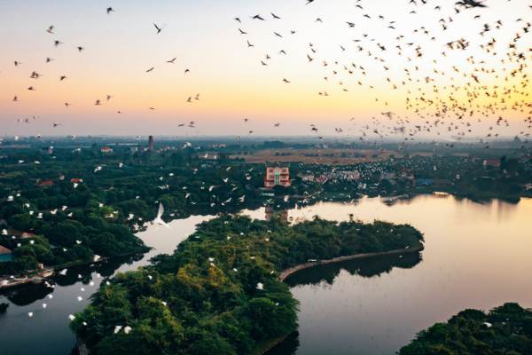 Top Những Món Đặc Sản Hải Dương Nhắc Đến Là Thèm