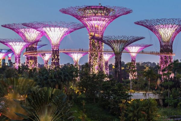 Ưu Đ&atilde;i V&eacute; M&aacute;y Bay Gi&aacute; Rẻ H&agrave; Nội Đi Singapore Chỉ C&oacute; Tại Vietnam Airlines