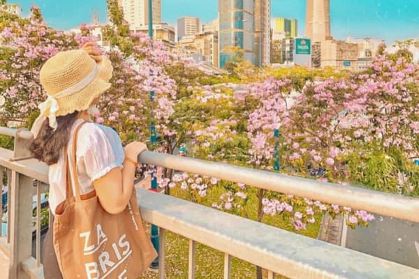 Vé Máy Bay Đến Hồ Chí Minh Bamboo Airways