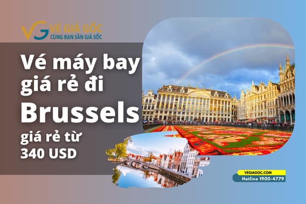 Giá vé máy bay đi Brussels (BRU) Bỉ giá rẻ chỉ từ 340 USD