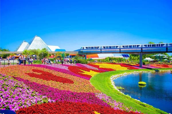 Vé máy bay đi Florida Mỹ