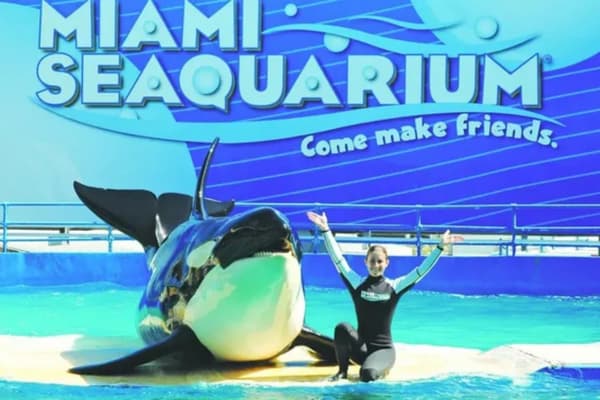 V&eacute; m&aacute;y bay đi Miami