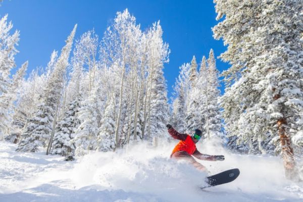 Vé máy bay đi Mỹ siêu rẻ từ Hà Nội cùng STARLUX, chỉ từ 500 USD