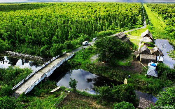 Sân bay Cà Mau