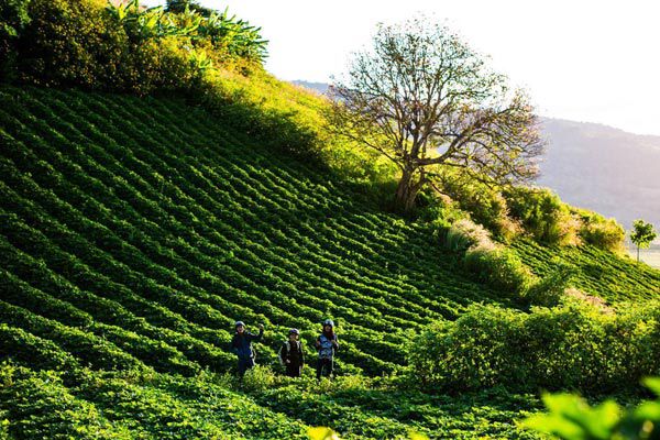 VÉ MÁY BAY GIÁ RẺ ĐI PLEIKU