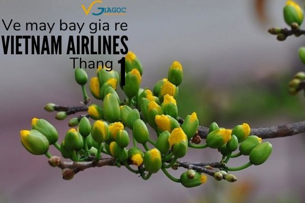 Vé máy bay giá rẻ tháng 1 2020 Vietnam Airlines