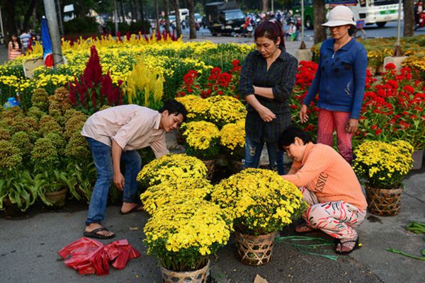 Khuyến mãi Tết 2025 Vé máy bay Hà Nội đi Quy Nhơn chỉ từ 289.000Đ