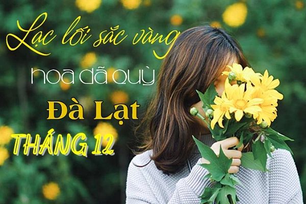 Vé máy bay khuyến mãi đi Đà Lạt Tháng 12