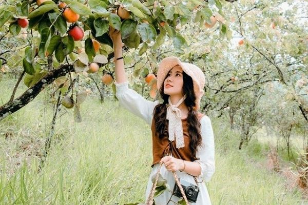 Vé máy bay khuyến mãi đi Đà Lạt Tháng 12