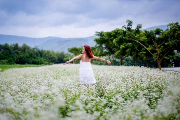 Vé máy bay khuyến mãi đi Đà Lạt Tháng 12