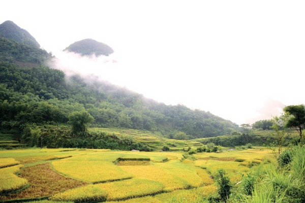 Vé máy bay khuyến mãi đi Thanh Hóa tháng 11