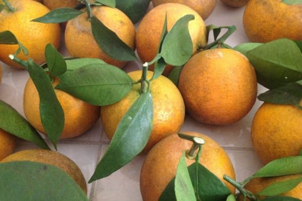 Vé máy bay khuyến mãi đi Vinh tháng 3