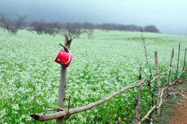 Vé máy bay Tháng 11