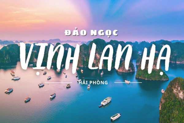 Vé máy bay Thành phố Hồ Chí Minh - Hải Phòng giá rẻ