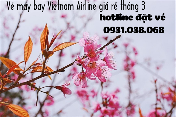 Vé máy bay Vietnam Airline giá rẻ tháng 3