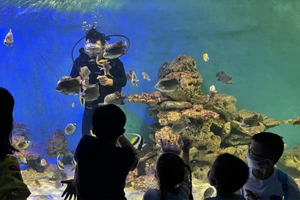 Viện Hải dương học Nha Trang những lý do nhất định không nên bỏ lỡ