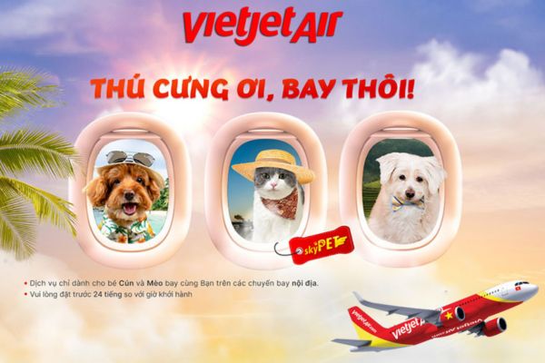 Vietjet Air Mang Thú Cưng Đồng Hành Cùng Bạn Trên Mọi Hành Trinh