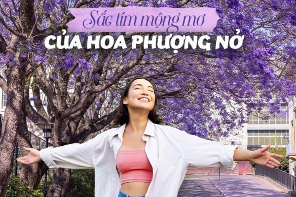 Vietjet đưa bạn đến Úc đón xuân ngắm hoa khoe sắc