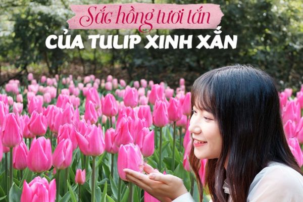 Vietjet đưa bạn đến Úc đón xuân ngắm hoa khoe sắc