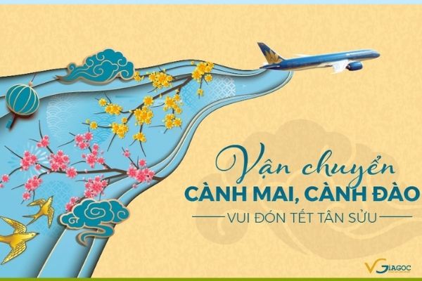 Vietnam Airlines miễn phí vận chuyển mai đào đón Tết