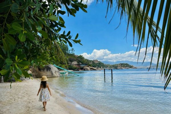 Vietravel Airlines Triển Khai Ưu Đ&atilde;i V&eacute; M&aacute;y Bay M&ugrave;a H&egrave; 2026