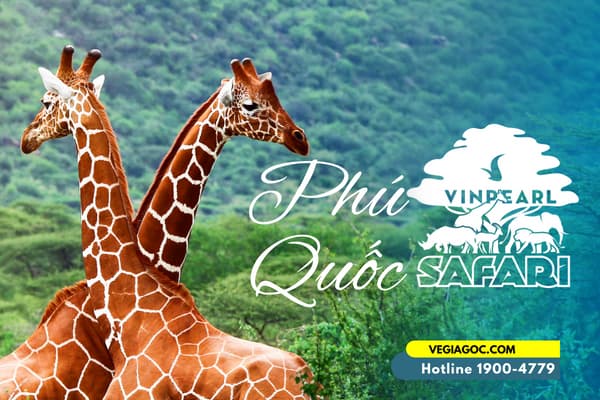 Vinpearl Safari Phú Quốc Vườn thú mở bán hoang dã đầu tiên của Việt Nam