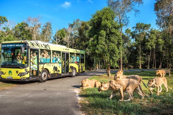 Vinpearl Safari Phú Quốc Vườn thú mở bán hoang dã đầu tiên của Việt Nam