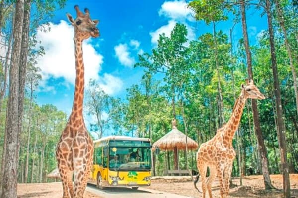 Vinpearl Safari Phú Quốc Vườn thú mở bán hoang dã đầu tiên của Việt Nam