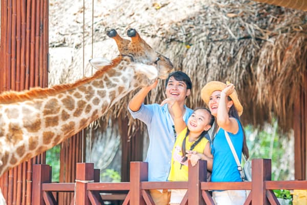 Vinpearl Safari Phú Quốc Vườn thú mở bán hoang dã đầu tiên của Việt Nam